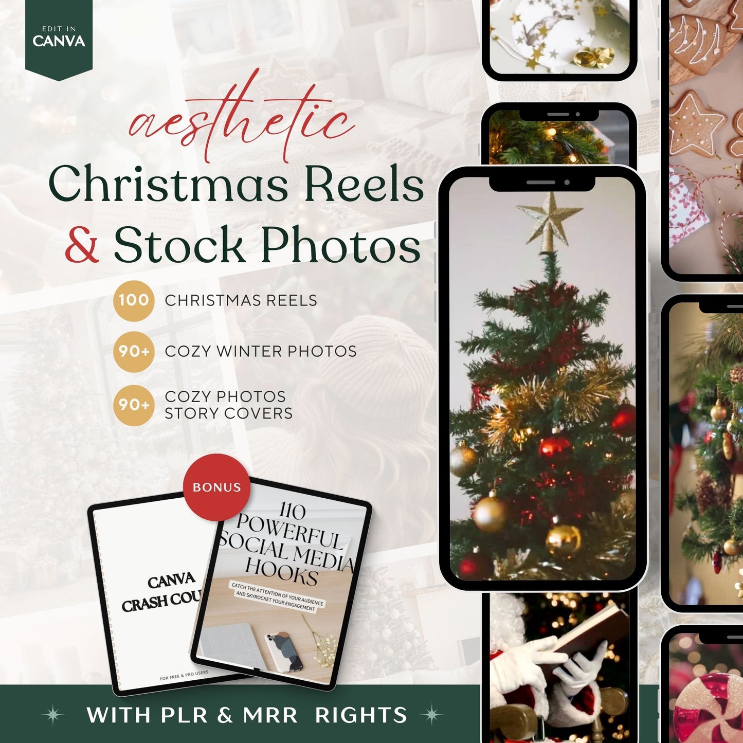 Aesthetic Christmas Reels and Stock Photos